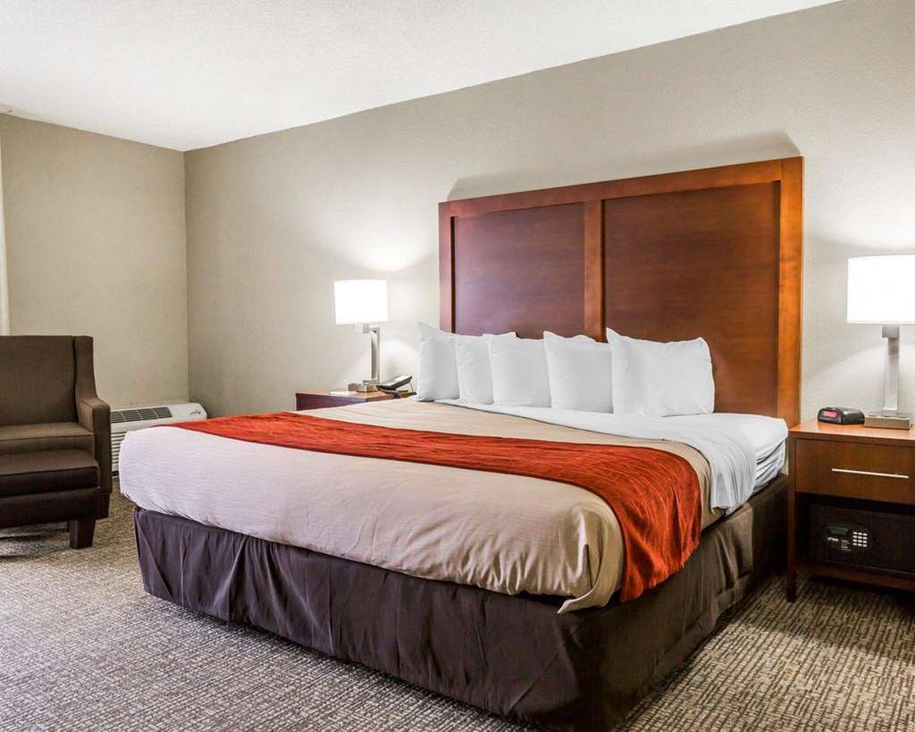 Comfort Inn Sandy Springs - Perimeter Room photo